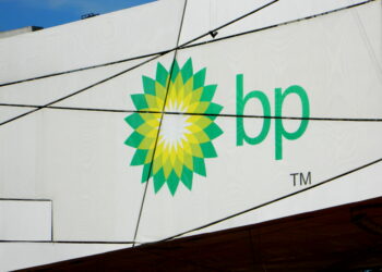 Bp_Logo_in_Bird_Nest_-_panoramio