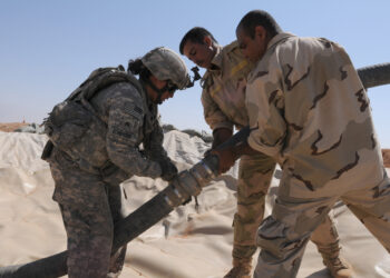 Through a trainer’s eyes