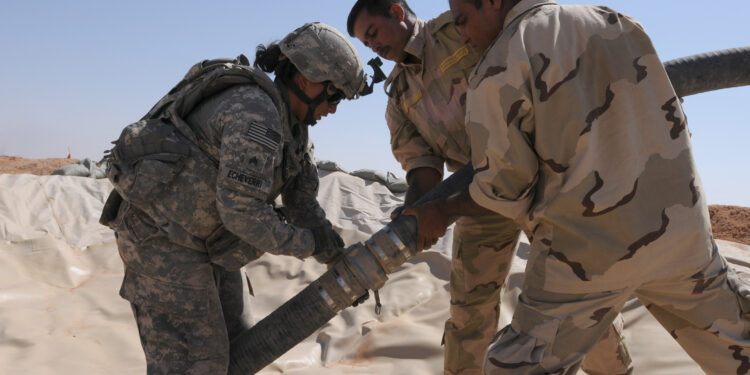 Through a trainer’s eyes