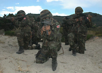 Turkish_troops