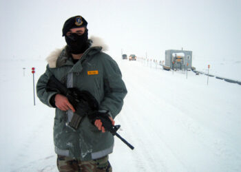 Basking_in_warmth_(2000548940)