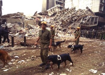 Kenya 2002: When the Missile Misses