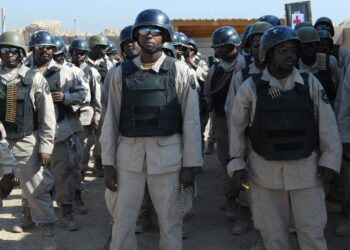 Muleskinners_train_Triple_Canopy(2011.09.04(2))