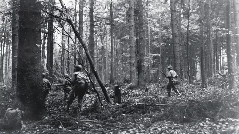 Battle of Hürtgen Forest: When Terrain Became the Enemy