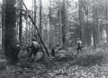 Battle of Hürtgen Forest: When Terrain Became the Enemy