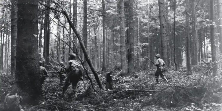 Battle of Hürtgen Forest: When Terrain Became the Enemy