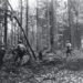 Battle of Hürtgen Forest: When Terrain Became the Enemy