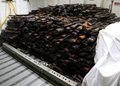 Yemen-Houthi-Weapons